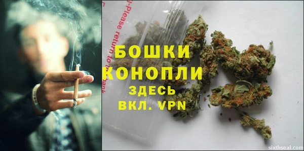 гашик Покачи