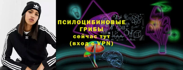 спиды Краснослободск
