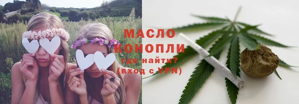 гидра Братск