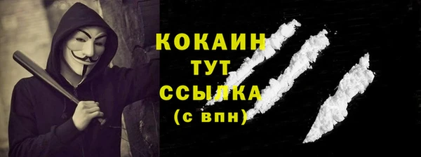 шишки Великий Новгород