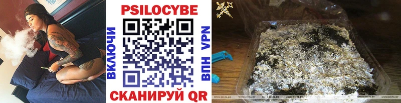 Галлюциногенные грибы Cubensis Лакинск